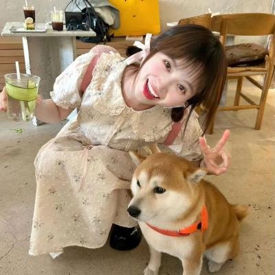 诚实候选人